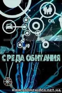 Среда обитания. Фаст фуд. 2010