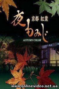 Осенний цвет Киото 2007