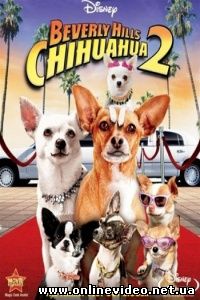 Крошка из Беверли Хиллз 2 2011
