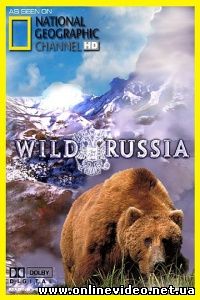 Дикая природа России - Камчатка 2009 National Geographic