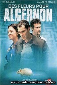 Цветы для Алджернона 2006