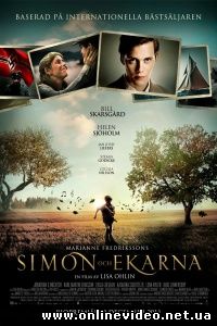 Симон и дубы 2011