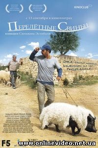 Перелетные свиньи 2011
