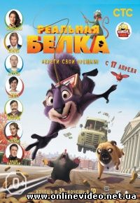 Реальная белка 2013