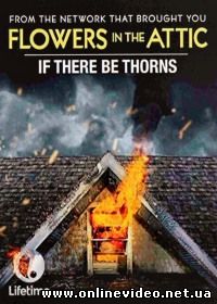 Сквозь тернии (2015)