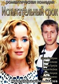 Испытательный срок (2014)