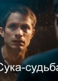 Сука-судьба (2017)
