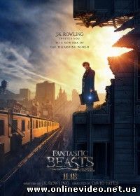 Фантастические твари и где они обитают (2016)