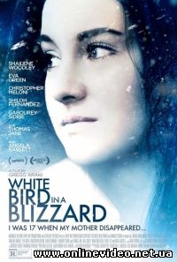 Белая птица в метели (2014)