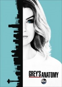Анатомия страсти 17 сезон (сериал 2021) все новые серии