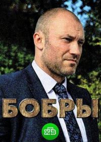 Бобры (сериал 2018)