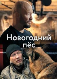 Новогодний Пес (сериал 2018) все серии
