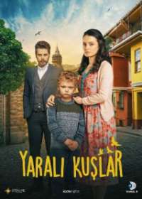 Раненые птицы (Турция, сериал 2019)